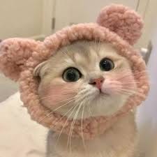 Taufik Hidayat avatar