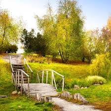 Rizky Pratama avatar