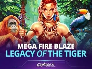 Mega Fire Blaze™_ Legacy Of The Tiger™ game icon