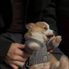 Hendra Kurniawan avatar