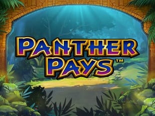 Panther Pays game icon